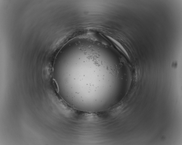 X0000111040424200906251407