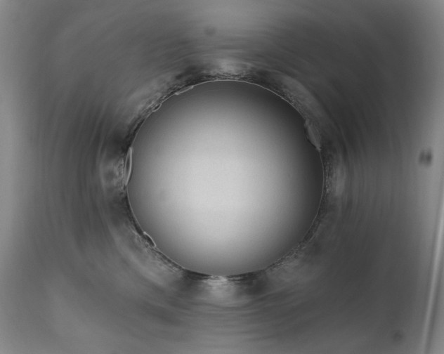 X0000111040425200906251406