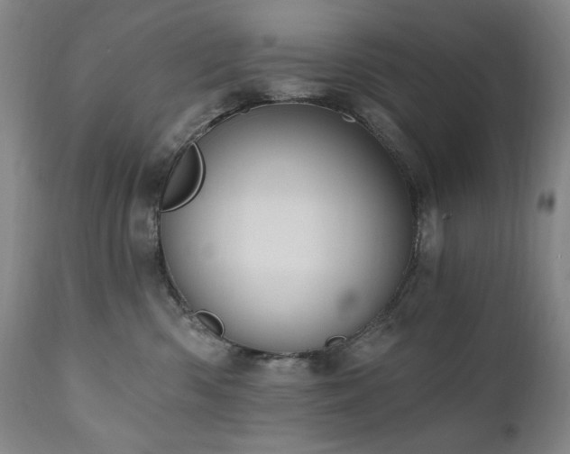 X0000111040426200906251406