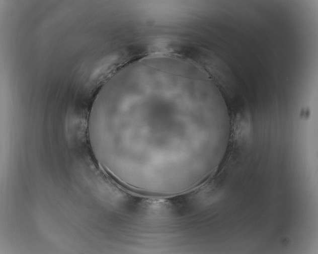 X0000111040427200906251406