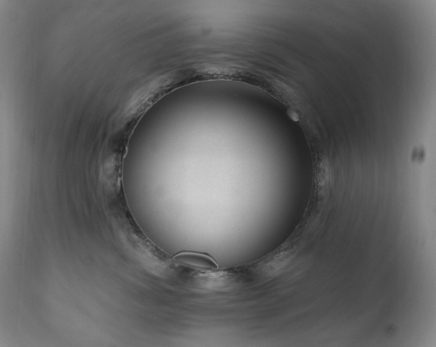 X0000111040428200906251406