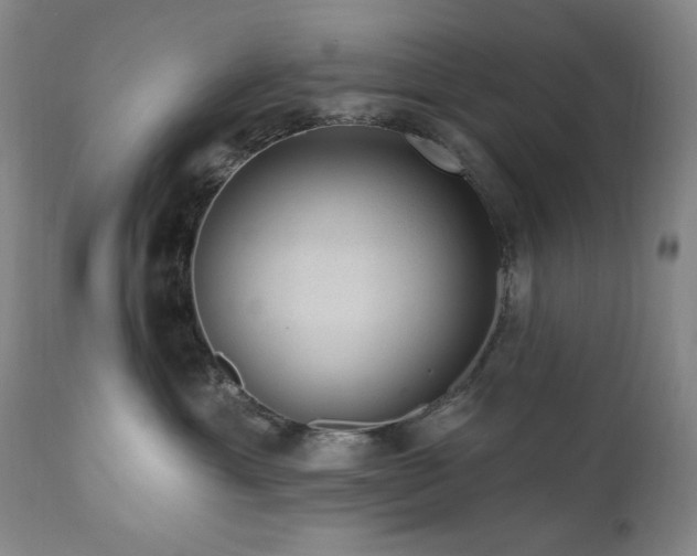 X0000111040429200906251406