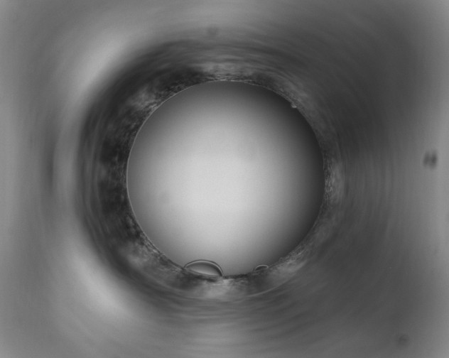 X0000111040430200906251406