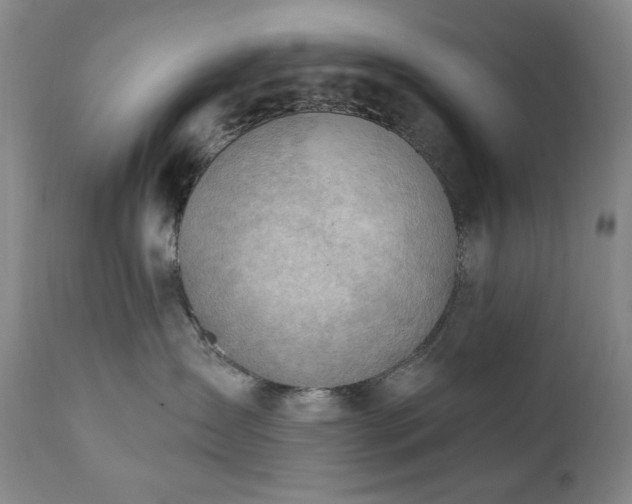 X0000111040431200906251406