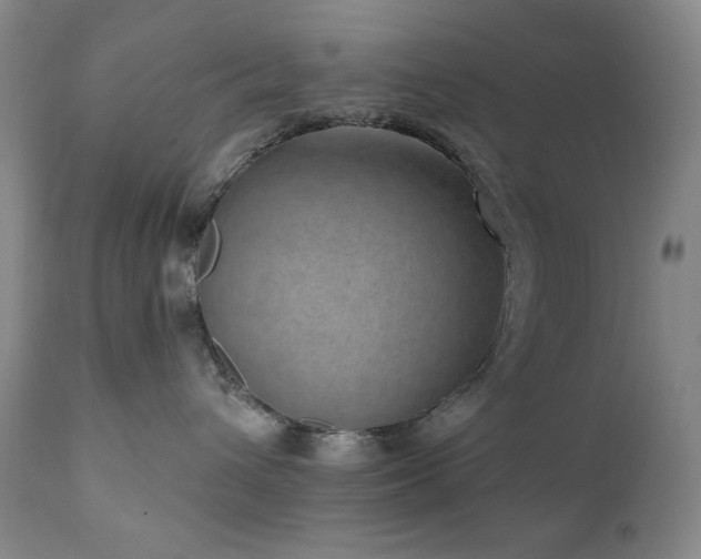 X0000111040432200906251406