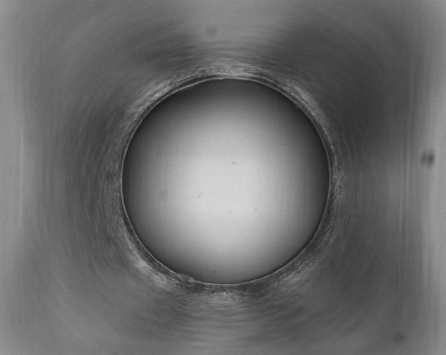 X0000111040433200906251406