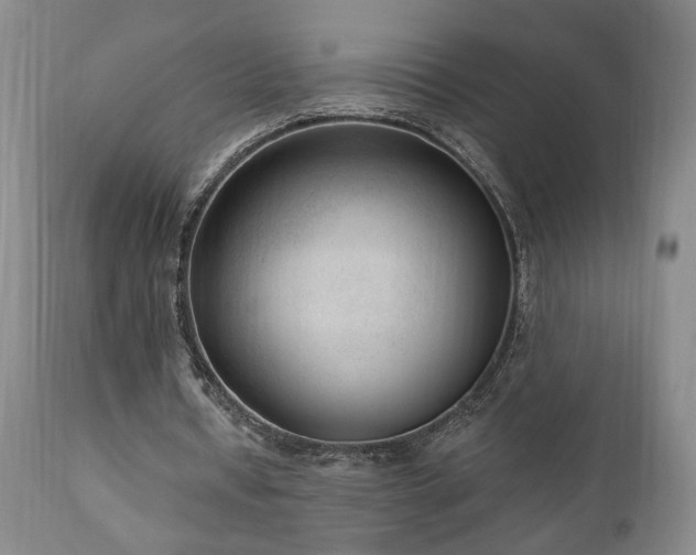 X0000111040434200906251406