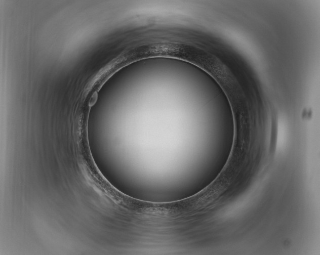 X0000111040435200906251406
