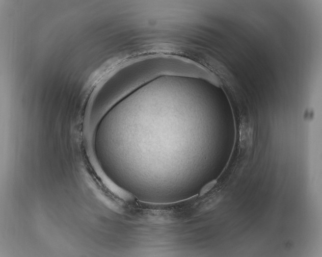 X0000111040436200906251406
