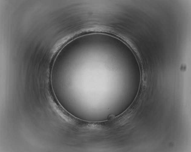 X0000111040437200906251406