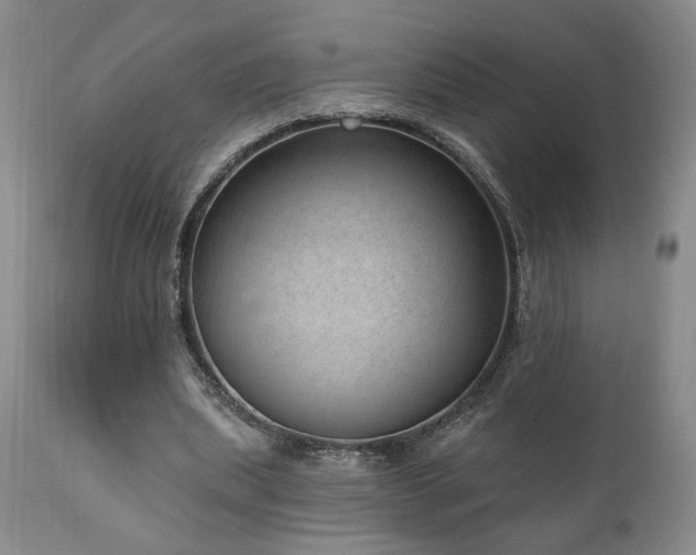X0000111040439200906251406