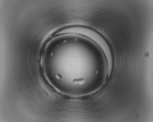 X0000111040440200906251406