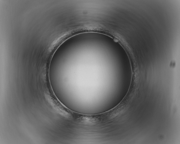 X0000111040442200906251406