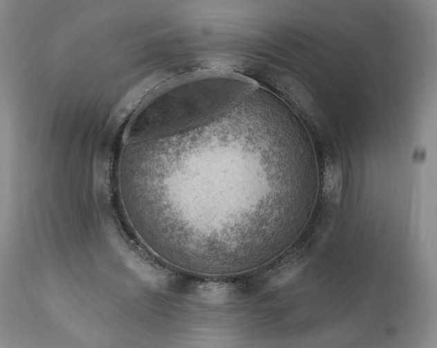 X0000111040444200906251406