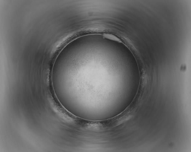 X0000111040446200906251406