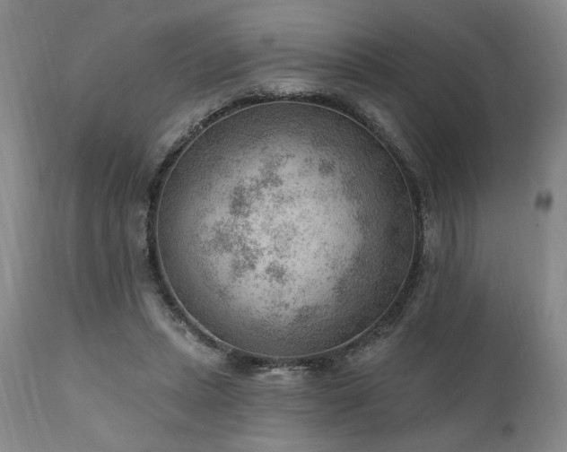 X0000111040447200906251406