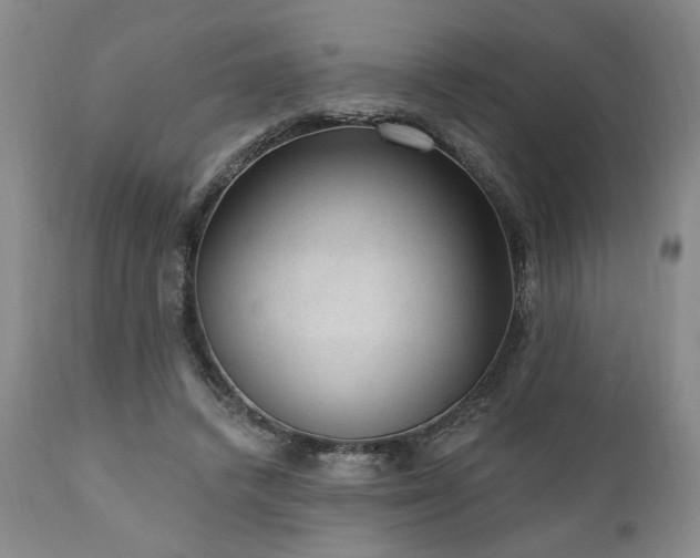 X0000111040448200906251406