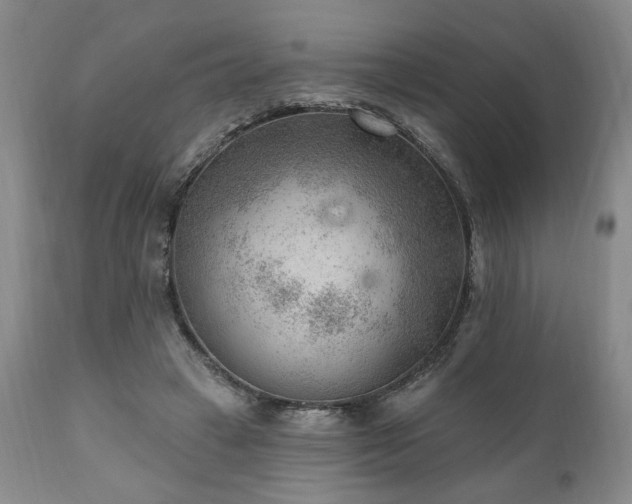 X0000111040449200906251406