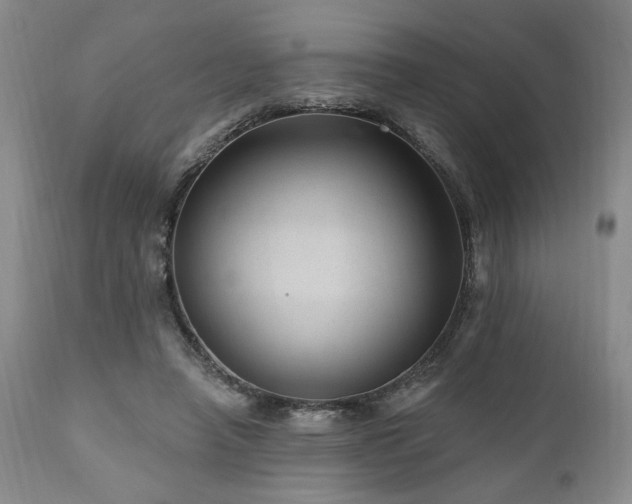 X0000111040450200906251406