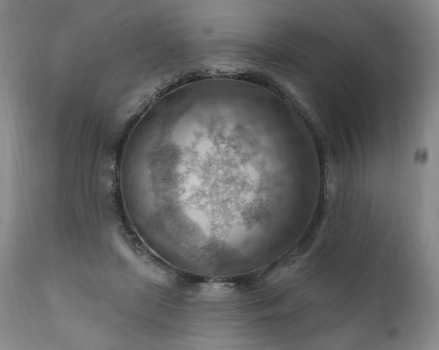 X0000111040451200906251406