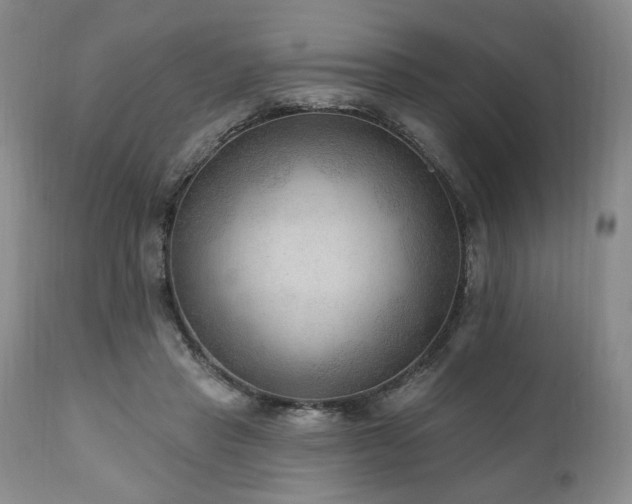 X0000111040453200906251406