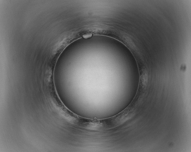 X0000111040458200906251406