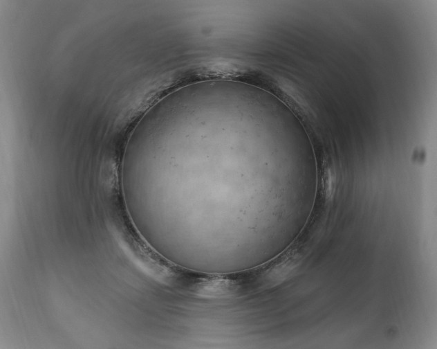 X0000111040459200906251406