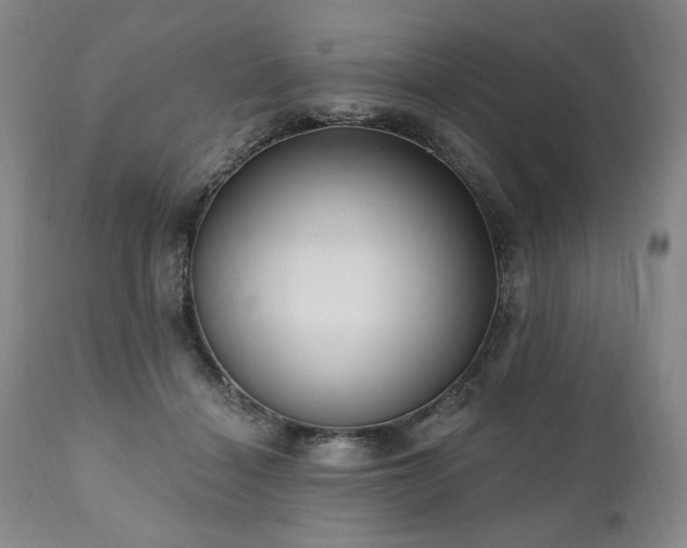 X0000111040460200906251406