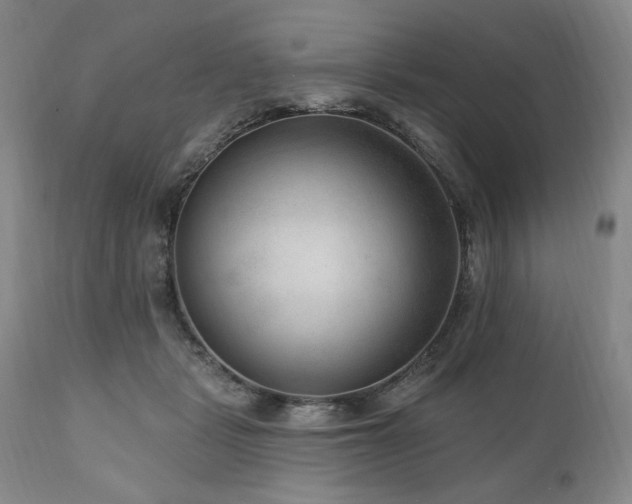 X0000111040461200906251406