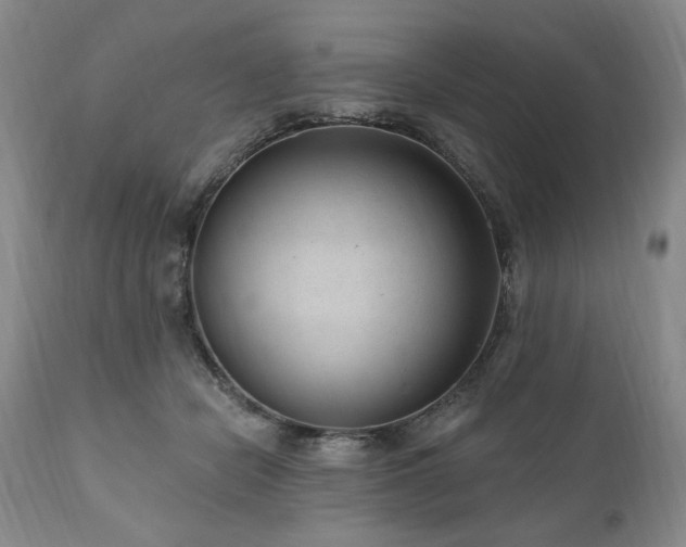 X0000111040462200906251406