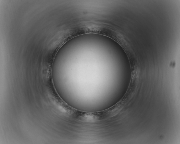 X0000111040464200906251406