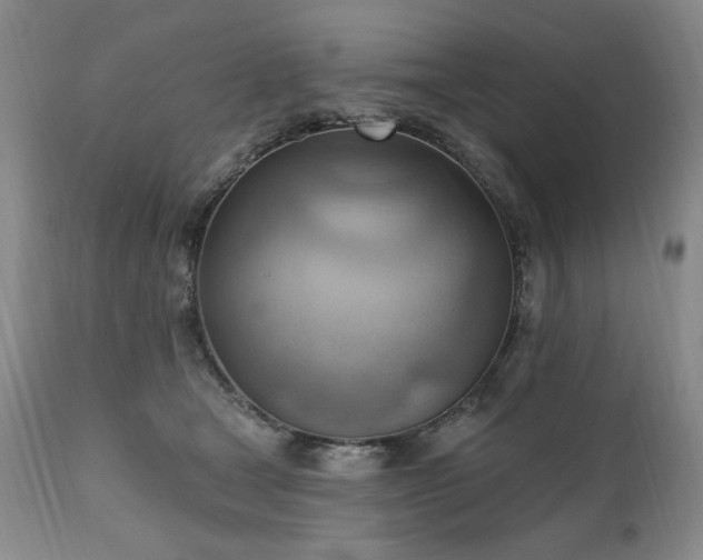 X0000111040465200906251406