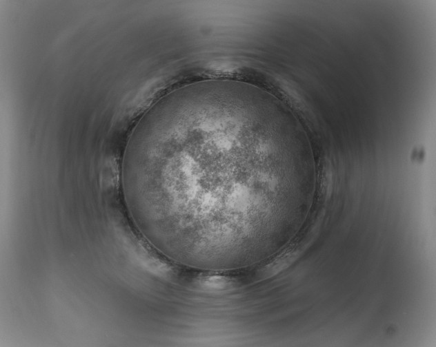 X0000111040467200906251406