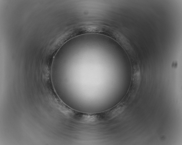 X0000111040469200906251406