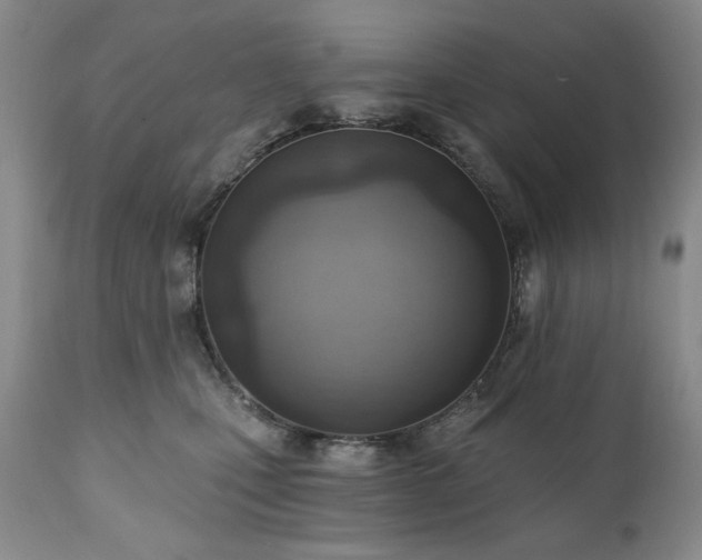 X0000111040471200906251406