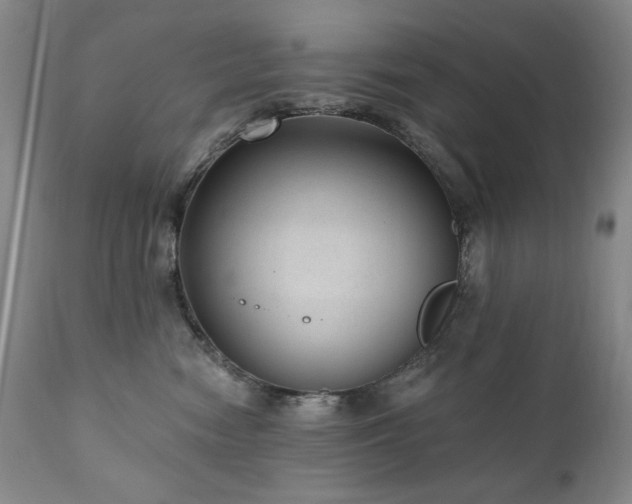 X0000111040474200906251406