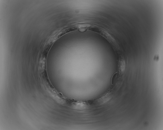 X0000111040475200906251406