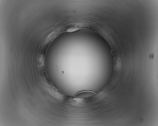 X0000111040478200906251406