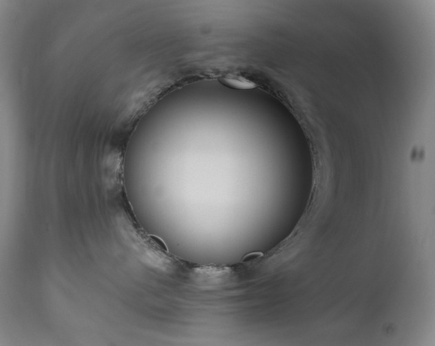 X0000111040480200906251406