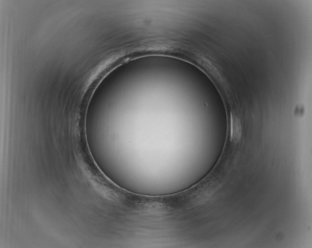 X0000111040483200906251406