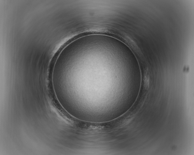 X0000111040484200906251406
