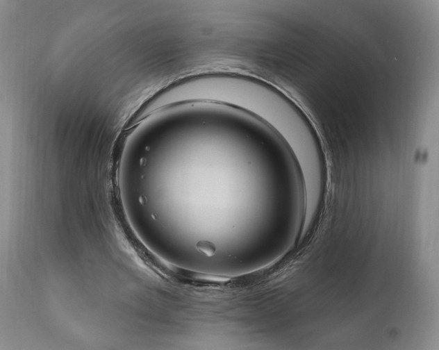 X0000111040485200906251406