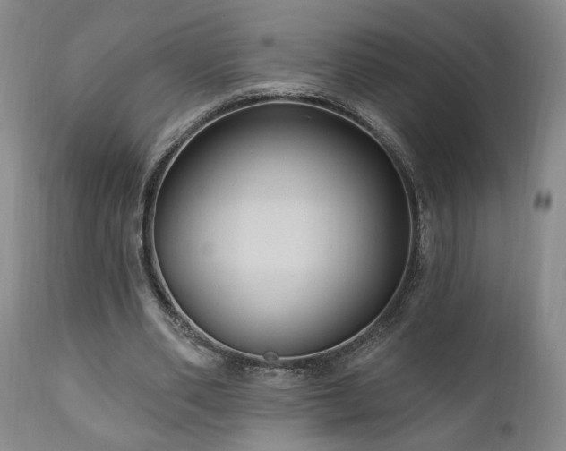 X0000111040486200906251406