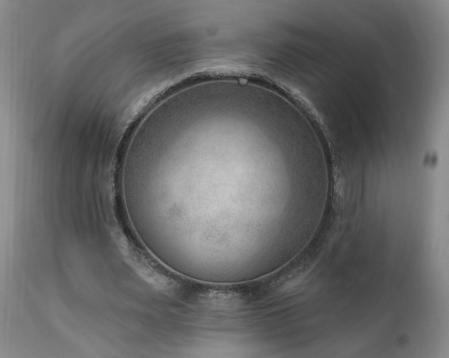 X0000111040487200906251406
