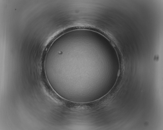 X0000111040488200906251406