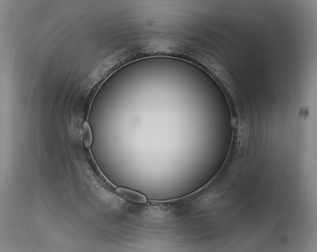 X0000111040489200906251406