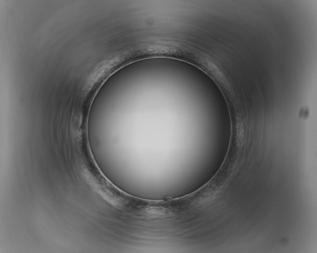 X0000111040490200906251406