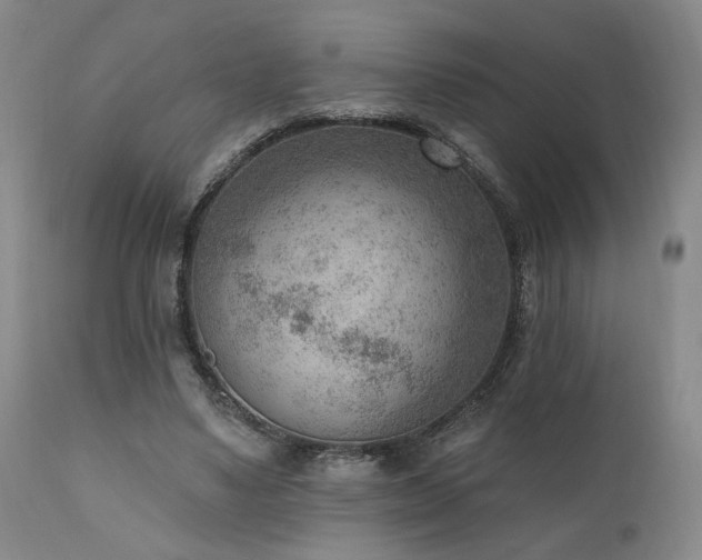 X0000111040491200906251406