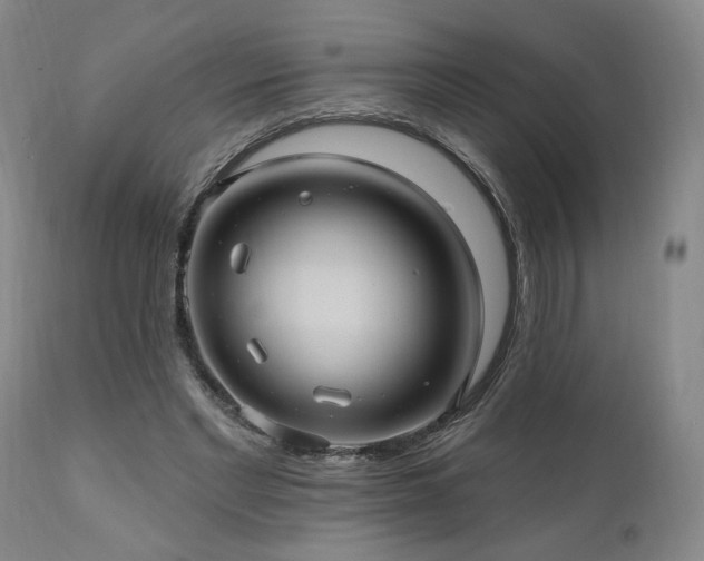 X0000111040493200906251406
