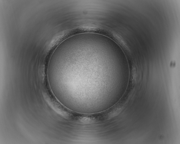 X0000111040494200906251405